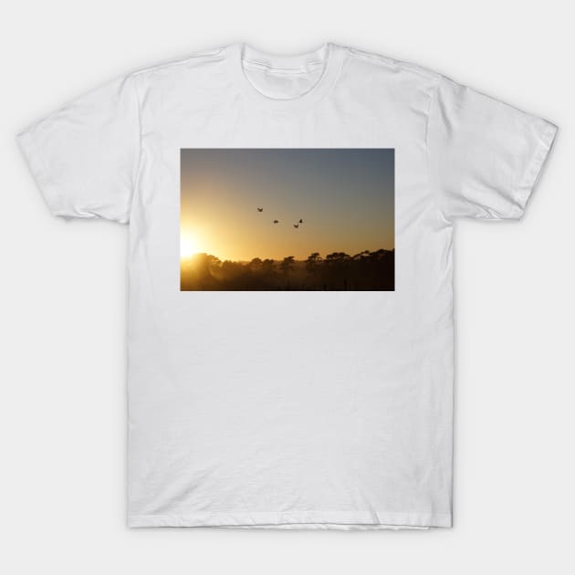 Ibis in the sky - Adelaide Hills - Fleurieu Peninsula - by South Australian artist Avril Thomas T-Shirt by MagpieSprings